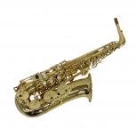 SELMER  SELMER AXOS
