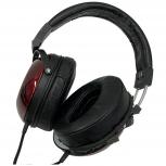 FOSTEX   TH900 