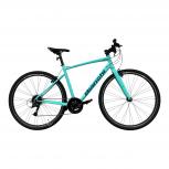 Bianchi   C SPORT1