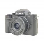 Panasonic   DC-G100DW 