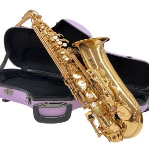 YAMAHA ヤマハ YAS-62 アルトサックス ゴールド 楽器