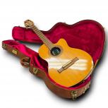 Gibson  Chet Atkins