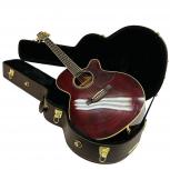 Takamine   DMP551C