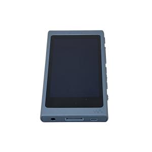 SONY ソニー ウォークマン 16GB NW-A45 グレイッシュブラック