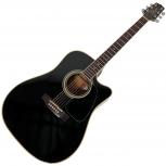 Takamine   PT-209
