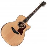 Taylor  814ce