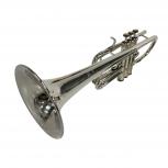 bach  238G