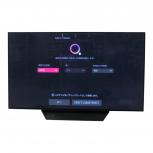LG   OLED48CXPJA