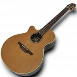 Takamine  DMP111N LH NS