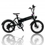MATE.BIKE  250W-P