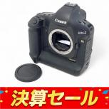 Canon  EOS-1Ds Mark III DS126161