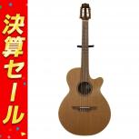Takamine  