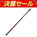 DAIKOH   籠遠投 槍雅 4-585 