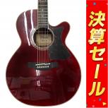 TAKAMINE  DMP50S WR