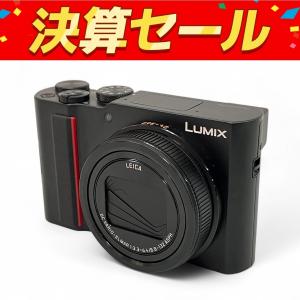 Panasonic パナソニック LUMIX ルミックス DC-TX2 コンパクト デジタル カメラ 4K 光学 15倍