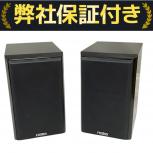 FOSTEX  GX100 Limited