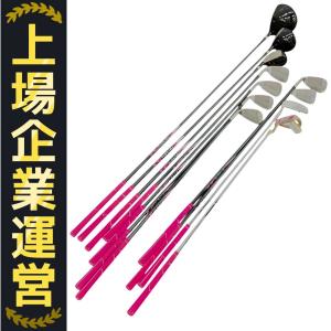 Worldeagle FL-01 V2 ゴルフクラブ 10本 キャディバッグ セット