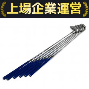 三浦技研 TC-101 N.S.PRO #5-#9 P アイアン 6本 セット ゴルフクラブ