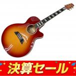 TAKAMINE  100 CUSTOM 2020