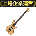 SCHECTER  Custom5