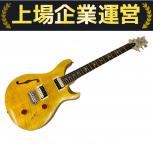 Paul Reed Smith  SE Custom 22