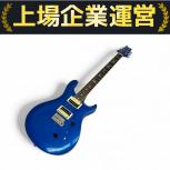PRS  SE Standard 24