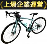 TREK  DOMANE AL4