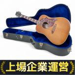 Gibson  hummingbird