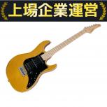 FUJIGEN  ギター EXPERT OS