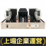 TRIODE  VP-300BD
