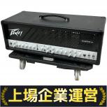 PEAVEY   invective.120 Head