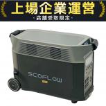 EcoFlow   DELTA Pro