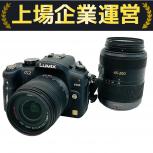 Panasonic  LUMIX DMC-G2