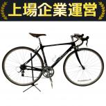 RALEIGH  Corsa Esclusivo Omologate