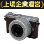 Panasonic  DMC-GM1S 