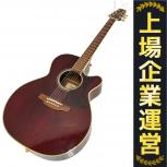 Takamine  DMP551C WR