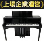 KAWAI  NV10