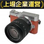 Panasonic  DC-GF9