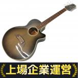 Takamine    NPT-110-12