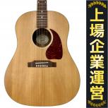 Gibson   G-45 