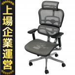 Ergohuman  EHP-HAM KM-10(外観判断)