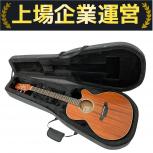 TAKAMINE   DMP571MC-DC NS