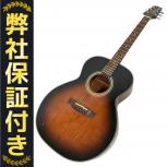 タカミネ   TSA500