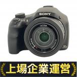 SONY   DSC-HX400V
