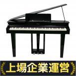 Roland ローランド GP-3-PE