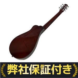TINY BOY タイニーボーイ TT-10 N トラベルギター 弦楽器 音楽
