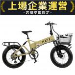MATE. BIKE  MATE X 250W-J