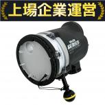 SEA&SEA   YS-D3 LIGHTNING MarkII 