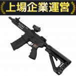 G&G  CM16 SRS