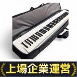 CASIO   PX-S1100